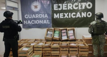 Autoridades incautan 600 paquetes de cocaína ocultos en un camión que transportaba nopales en Irapuato