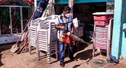 Alerta por dengue en Guerrero: suman 2 mil 371 casos en lo que va del año contra 62 del mismo periodo de 2023