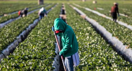 Se estima mejora en la deuda de EU en los próximos 30 años, impulsada por la fuerza laboral migrante