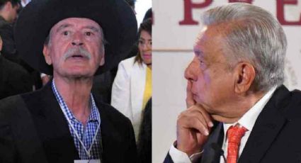 Las leyes que prohíben a AMLO intervenir en las elecciones se crearon tras sus quejas contra Fox, dice consejera del INE