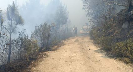 Familias de la comunidad veracruzana de Chicahuaxtla acusan que perdieron sus hogares por los incendios forestales