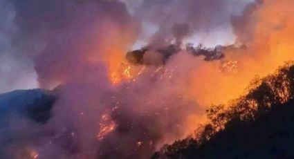 Emergencia por incendio forestal en Pinal de Amoles: autoridades en Querétaro instan a evacuación urgente