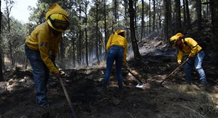 Conafor reduce a 69 el número de incendios activos en 18 estados del país