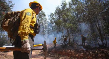 Incendios forestales han afectado más de 48 mil hectáreas en el país; hay 76 activos