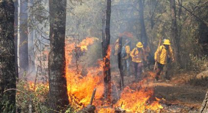 Incendios forestales afectan 817 hectáreas de zonas naturales protegidas en Morelos