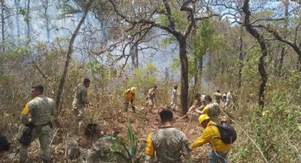 Suman 14 mil hectáreas en México dañadas por los incendios forestales; actualmente hay 71 activos