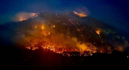 Morena propone en Diputados sancionar con hasta 25 años de prisión a quien provoque un incendio forestal