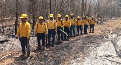 Reportan incendios activos en Bacalar y Tulum que han consumido 50 hectáreas de vegetación