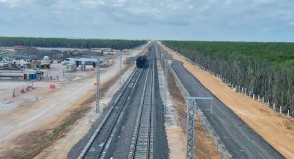 Semarnat debe transparentar la manifestación de impacto ambiental de seis hoteles que forman parte de las obras del Tren Maya: INAI