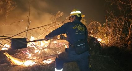 Despliegan más de mil brigadistas para controlar los incendios en parque nacional de Acapulco