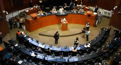 Piden periodo extraordinario en el Senado para realizar los 49 nombramientos electorales pendientes