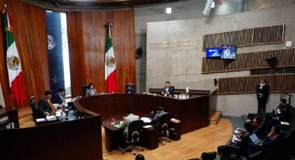 Tribunal Electoral multa al Partido Verde con 41 mil pesos por difundir spot con la imagen de AMLO