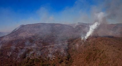 Devastadora ola de incendios azota México: más de 70 siniestros activos en medio de la aguda sequía