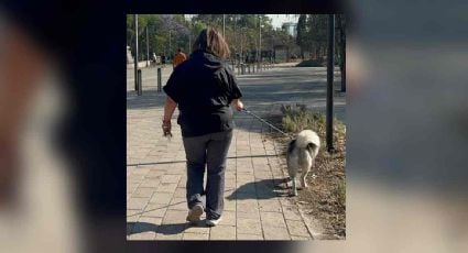 Xóchitl Gálvez pasea por el Bosque de Chapultepec previo al debate presidencial en el INE