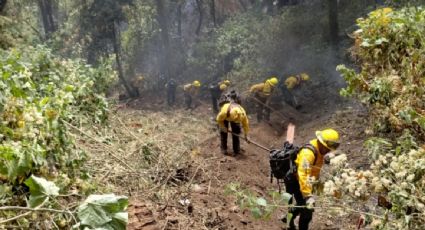 Autoridades registran 73 incendios forestales activos en el país