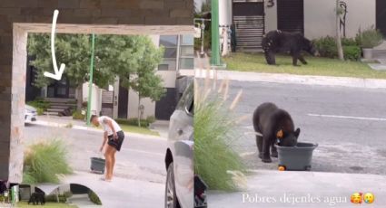 Maxi Meza, jugador de Rayados, da agua a un par de osos afuera de su casa ante la oleada de calor en Monterrey