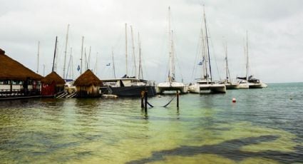 Cierran puertos marítimos en Tabasco, Campeche, Tamaulipas y Quintana Roo por la cercanía del ciclón tropical