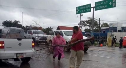 Habitantes bloquean carretera en Quintana Roo por falta de electricidad y agua; CFE determina que falla fue provocada por las obras del Tren Maya