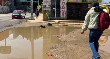 Los casos de dengue en México suman más de 17 mil en los primeros seis meses del año; la cifra fue de 3 mil 505 en el mismo periodo de 2023