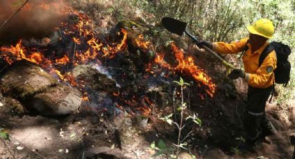 Incendios forestales afectan varias localidades en la zona central de Veracruz; habitantes exigen atención gubernamental