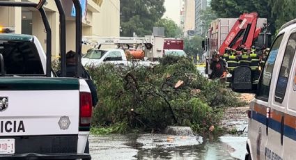 Fallece una persona y hay graves afectaciones por las fuertes lluvias registradas este viernes en la Ciudad de México