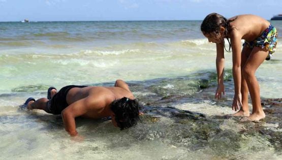 Las intensas lluvias en la Península de Yucatán generan la aparición de espectaculares ojos de agua que captan la atención del turismo