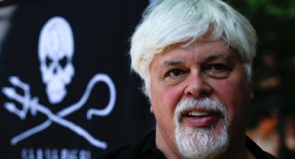 Detienen en Groenlandia al defensor de ballenas Paul Watson; podría ser extraditado a Japón