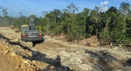 Revés al presidente AMLO: Tribunal Colegiado en Yucatán confirmó la suspensión definitiva de las obras del Tren Maya en el Tramo 7