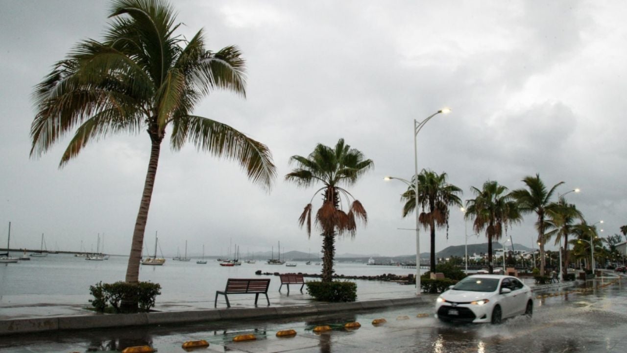 Tropical storm “Hector” forms in the Pacific; it will not impact national territory