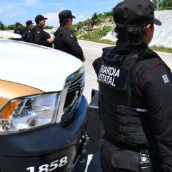 Violencia en Tamaulipas: hallan seis cuerpos baleados en una carretera y atacan a la policía estatal con drones