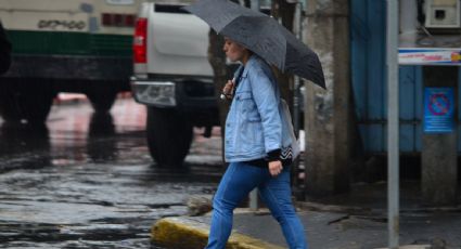 Se esperan lluvias muy fuertes en Nayarit, Jalisco, Colima, Michoacán, Guerrero, Oaxaca y Chiapas en las próximas horas: SMN