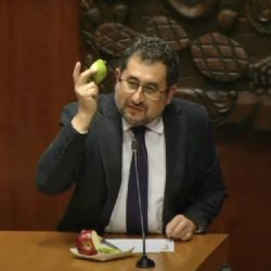 Oficialismo en la Permanente afirma que la oposición sigue "atarantada" por la elección, y explica la sobrerrepresentación con "peras y manzanas"