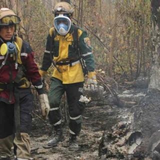 Incendios en Sudamérica alcanzan récord en 2024: sequía y cambio climático agravan la crisis