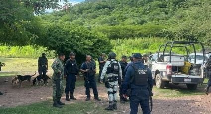 Limoneros de Buenavista paralizan actividades tras asesinato de empresario extorsionado por Los Viagras