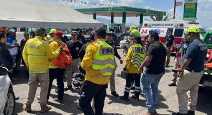 Abejas atacan a 32 excursionistas y paramédicos en un cerro de Zamora, Michoacán