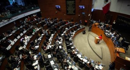 Senado aprueba la reforma que reconoce la personalidad jurídica de pueblos indígenas y afromexicanos