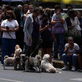 Sacude microsismo a la CDMX: es perceptible en la Álvaro Obregón y la Benito Juárez