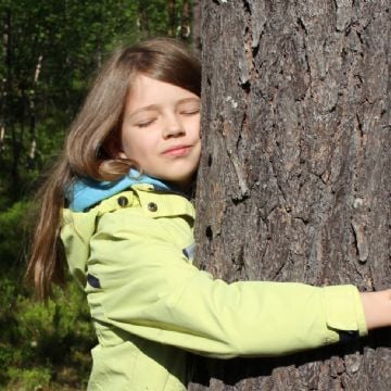 El gran poder de abrazar un árbol