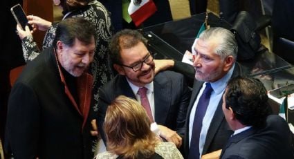 Interpretar que 85 senadores logran mayoría calificada iría contra la Constitución, advierte el Consejo Nacional de Litigio Estratégico