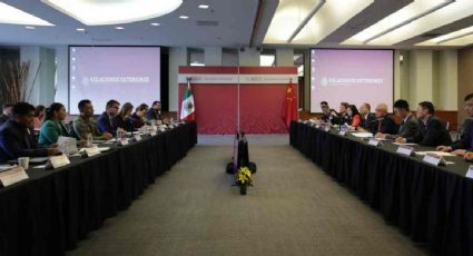 México y China fortalecen cooperación bilateral en control de precursores químicos en reunión oficial