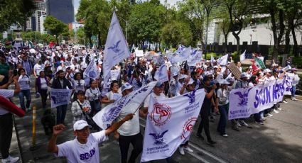 Marea Rosa, estudiantes y jueces se movilizarán este domingo en contra de la reforma judicial