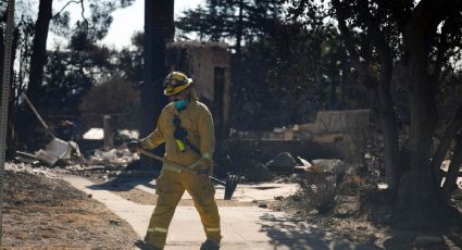 Serpientes Amarillas: las vivencias de los bomberos mexicanos en la extinción del fuego en Los Ángeles