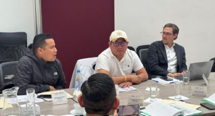 Morena, PVEM y PT enfrentan tensiones por reparto de candidaturas en alianza electoral en Veracruz