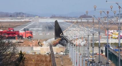 Encuentran restos de aves en motores del avión que se estrelló en Corea del Sur con saldo de 179 muertos
