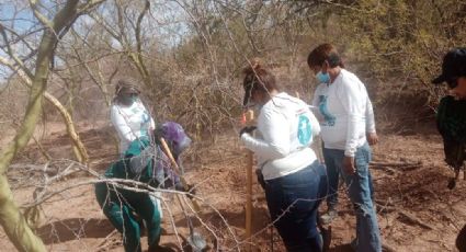Buscadoras hallan los cuerpos de 27 personas en varias fosas clandestinas en Hermosillo, Sonora