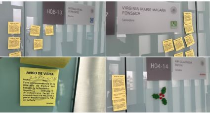 “Aviso de visita”: concluye Navidad y Año Nuevo, pero en el Senado hay oficinas cerradas y sin personal 