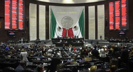 Diputados aprueban por unanimidad dictamen que permitirá el libre acceso a playas y áreas naturales protegidas