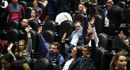“Quieren llenar las cárceles de inocentes con reformas a Ley de Amparo”, afirma PRI; "no se blindarán los abusos", dice Morena