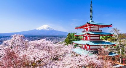 Trump recibirá 250 cerezos de Japón por los más de dos siglos de la Independencia de EU
