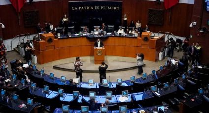 Senado discutirá reformas a la ley aduanera la próxima semana  